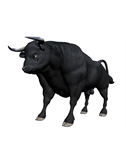 Betbulls