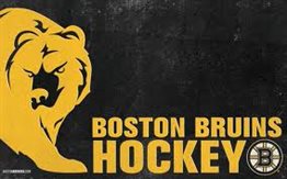 Bruins455