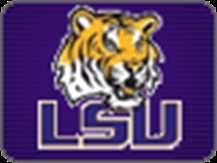csctiger