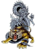 dragon540