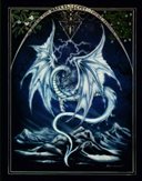Dragonbets