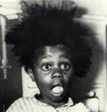 dwaynedd