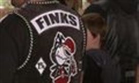 FINKS