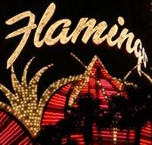 FlamingoBarnes