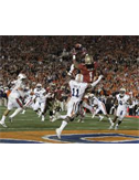 FSUDrew
