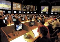 gamblingallday