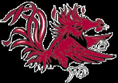 Gamecock73