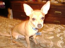 Gilmar406