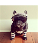 HoopWatchdog