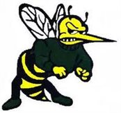 hornets