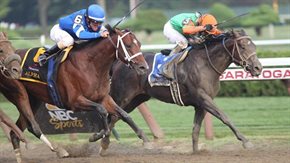 horseplayer64