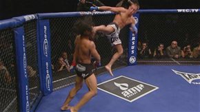 Joe_the_showmma
