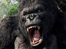 KING_KONG_U