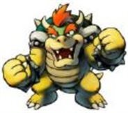 Koopa24