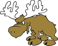 Moose25