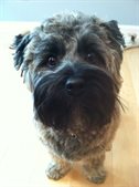 murphy79