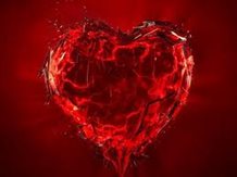 MVLover