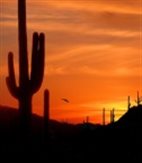 NiceDaze_In_LV
