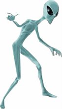 nikisongo