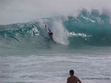 Sandys