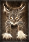 searcat