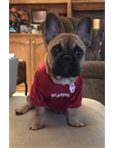 soonboomer
