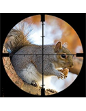 squirrelhunter