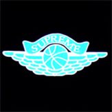 SupremeTeamNYC