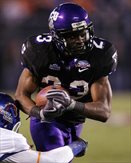 TcuFrogs