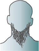 theBeard