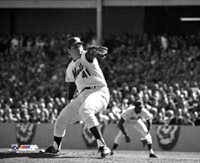 tomseaver286