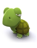 WildTurtle